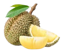 Durian Segar