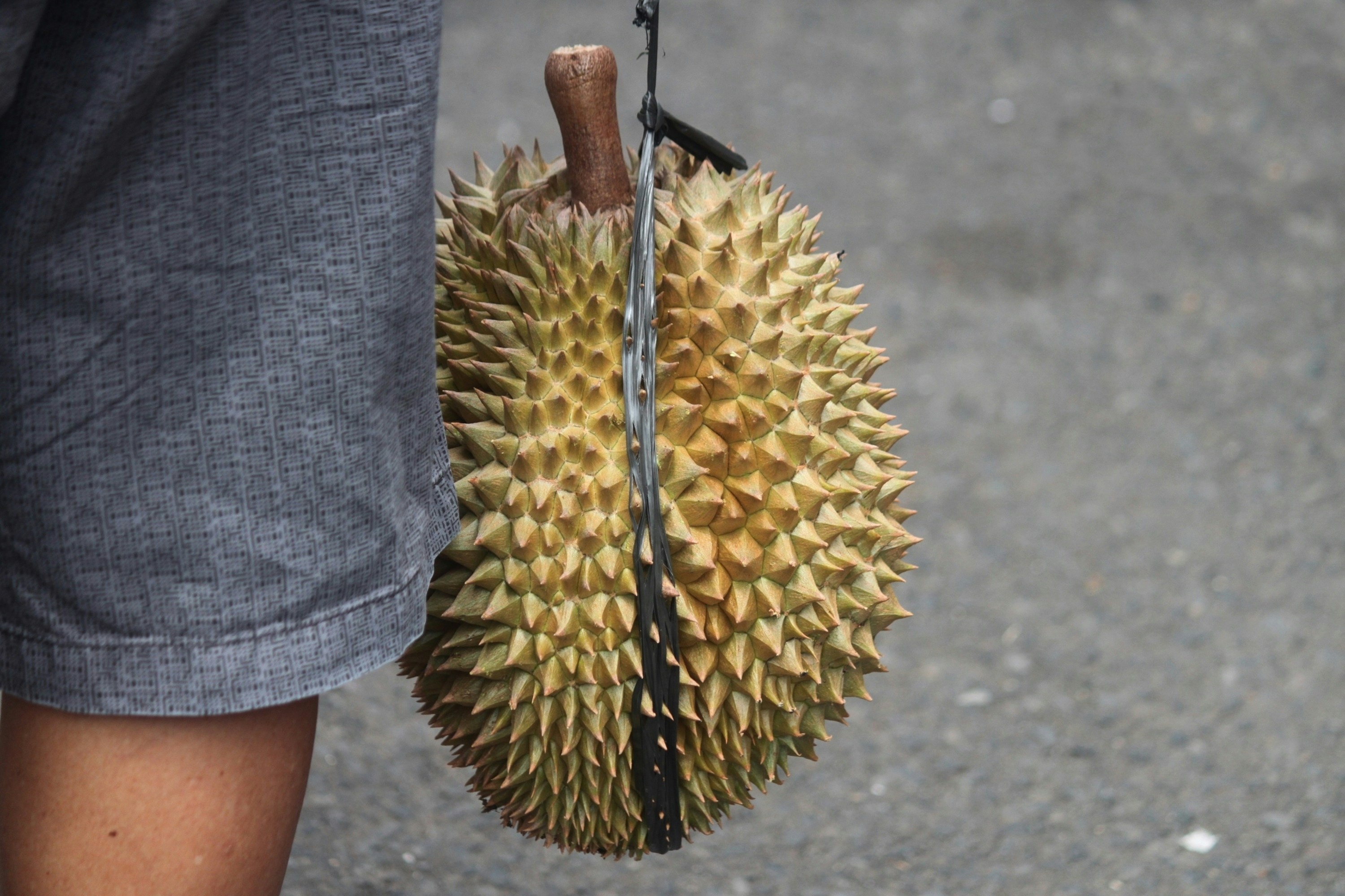 Durian